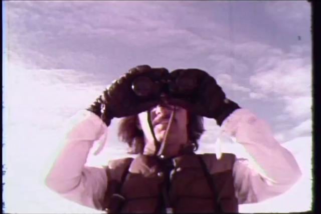 "Mild Kingdom" - Rod Kraft - 1981