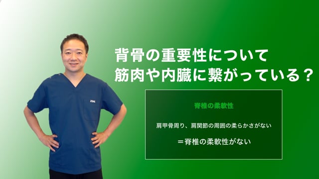 背骨の重要性とケアの考え方