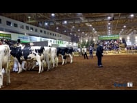 Mejor conjunto de vacas