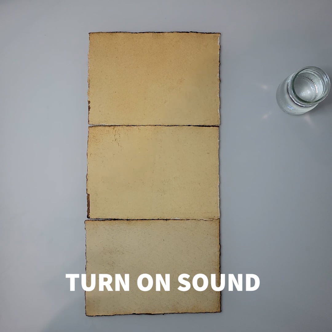 Bamboo Groves in Mist and Rain Triptych on Vimeo