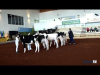 Mejor manejador joven