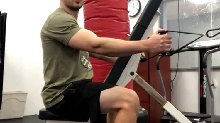 Chest supported cable discount row