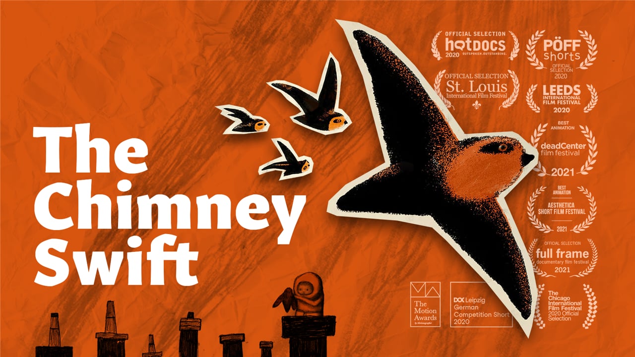 The Chimney Swift (Der Schornsteinsegler)