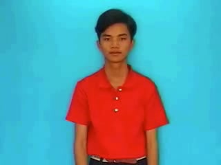 bop-dam-bop-523