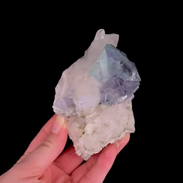 Fluorite (bicolor ''phantom'' crystals) (ex Dr. Stephen Smale Collection)