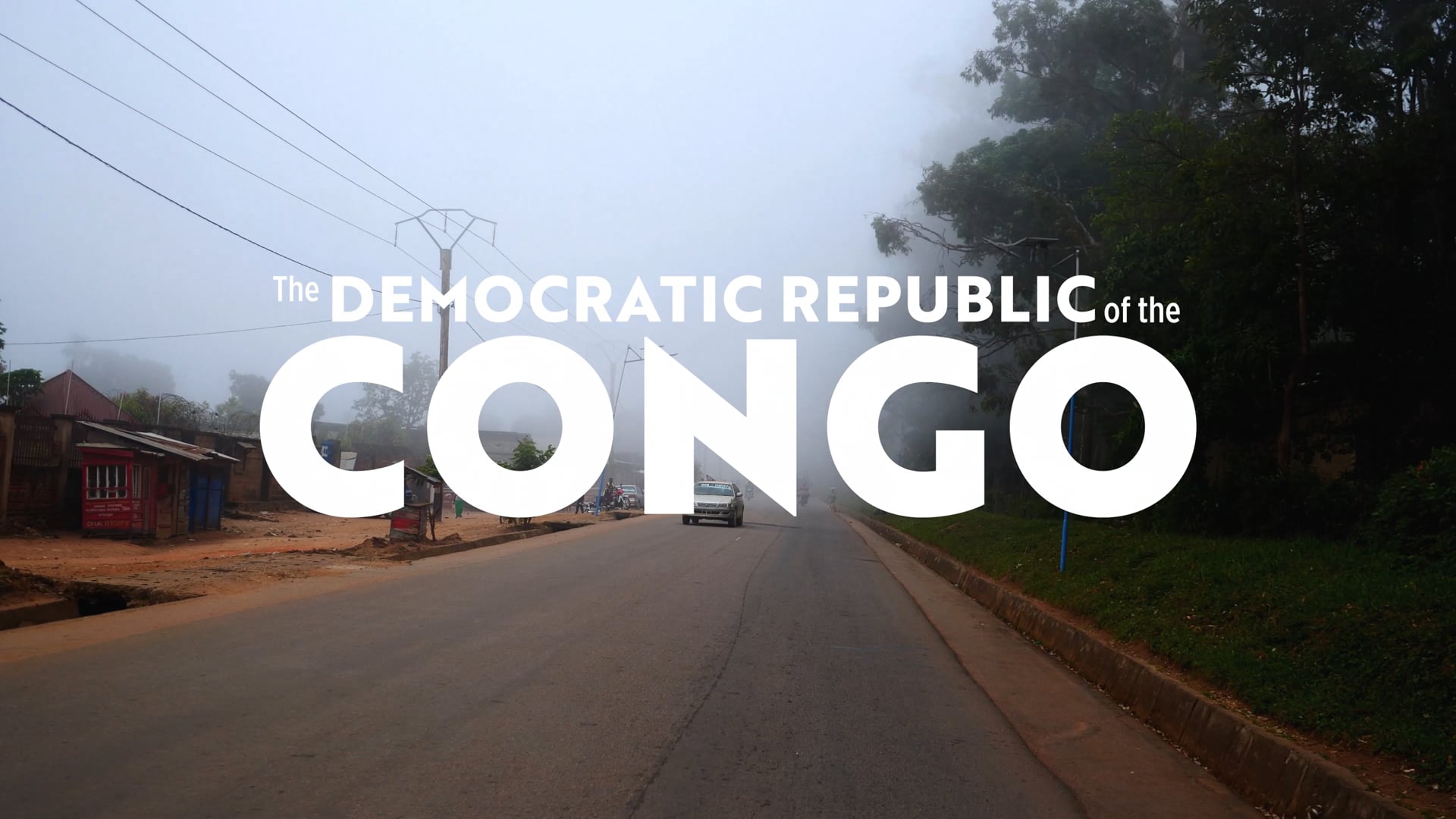 FIGHTING FOR SURVIVORS | Excerpt