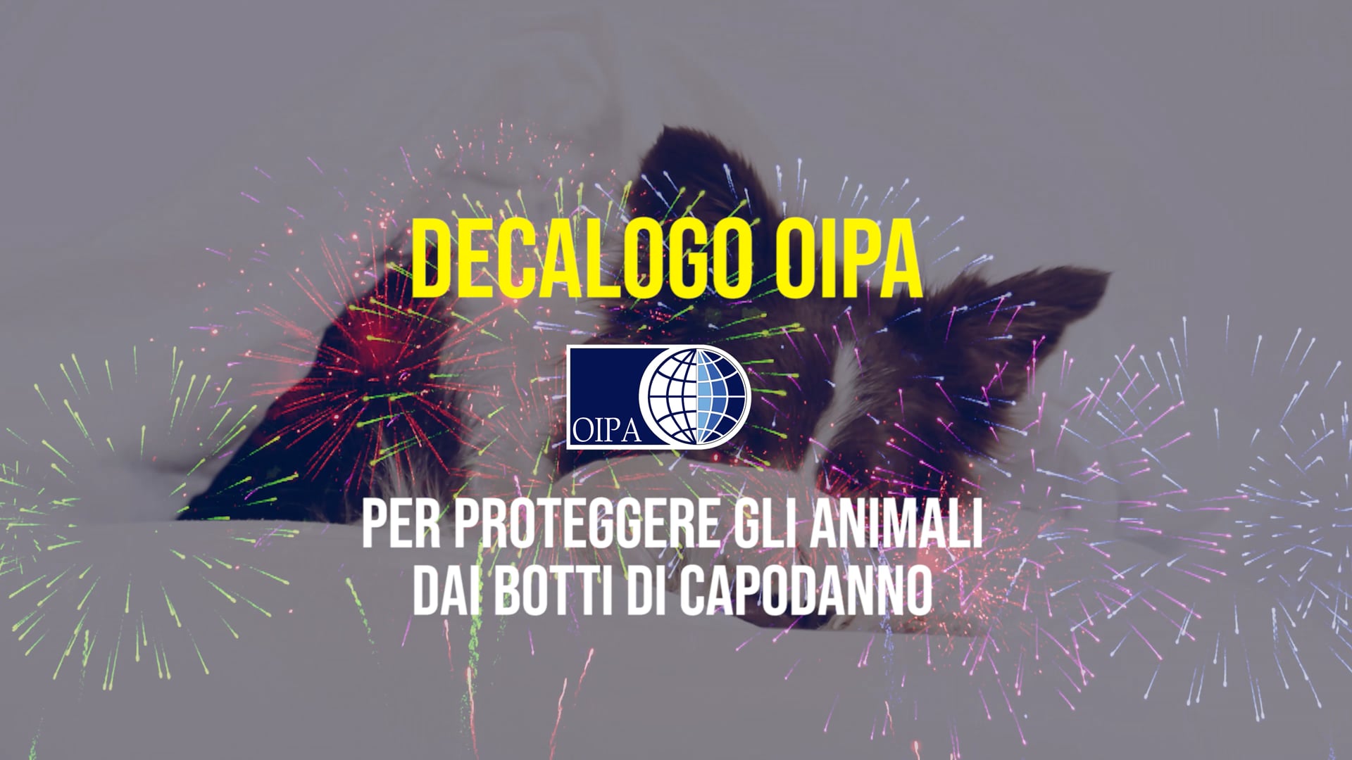 Botti di Capodanno, il decalogo Oipa per proteggere i nostri amici animali