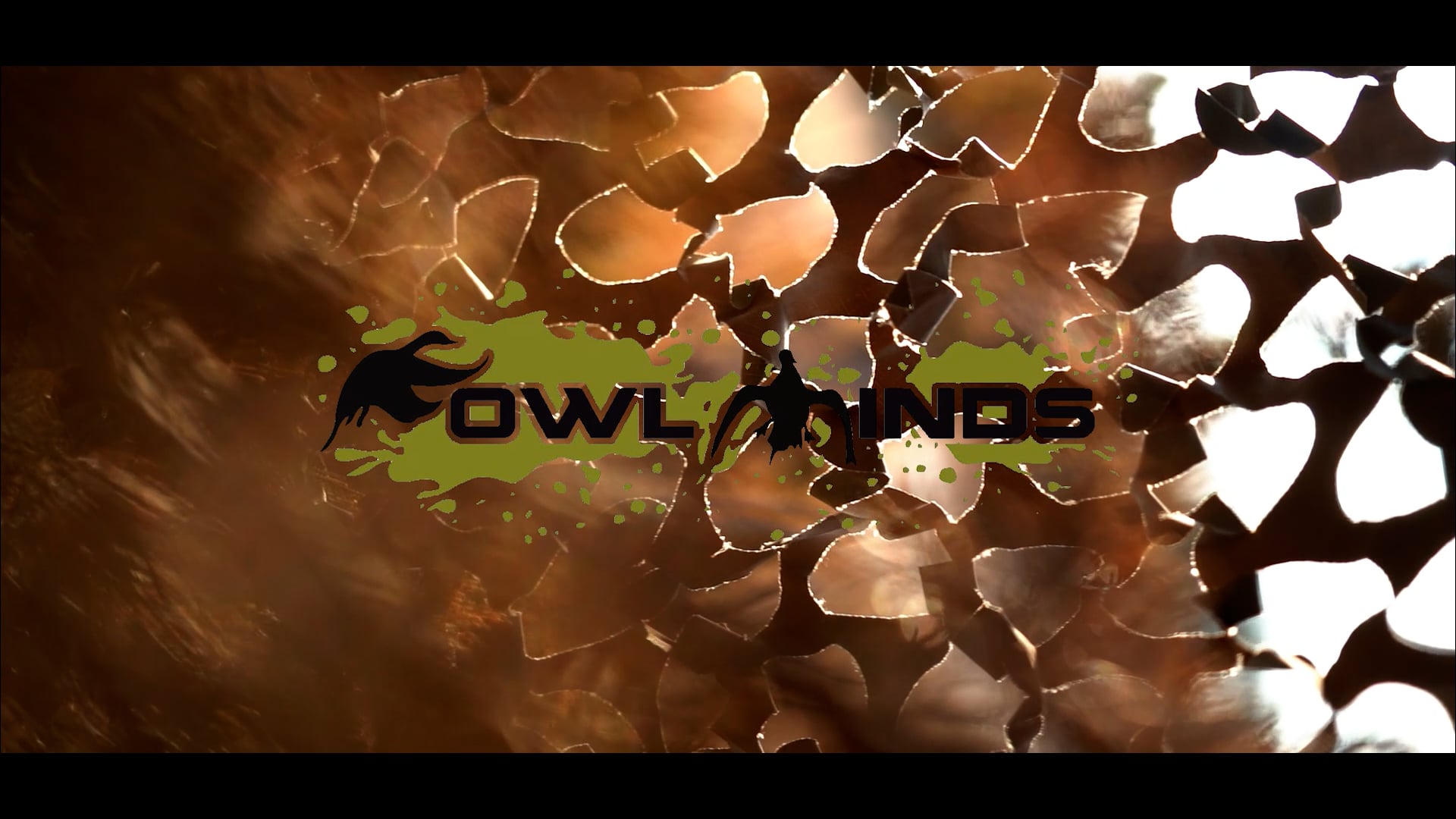 FOWL MINDS - PILOT VIDEO || 613MEDIA