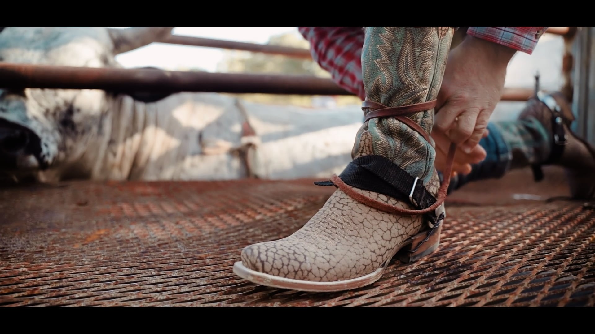 AZULADO BOOTS - BULL RIDING AD || 613MEDIA
