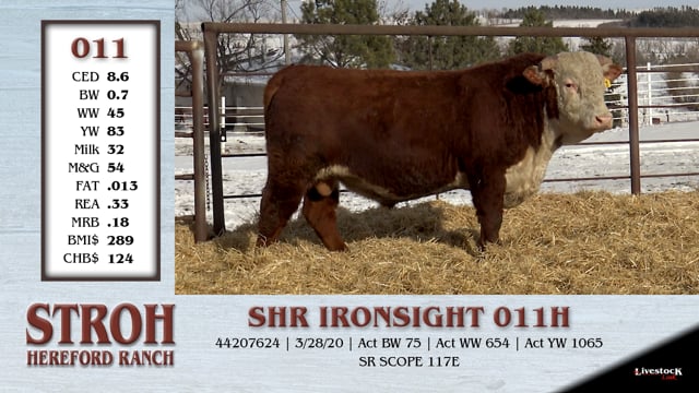 Lot #011 - SHR IRONSIGHT 011H