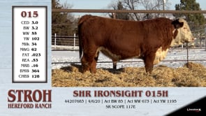 Lot #015 - SHR IRONSIGHT 015H