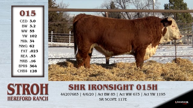 Lot #015 - SHR IRONSIGHT 015H