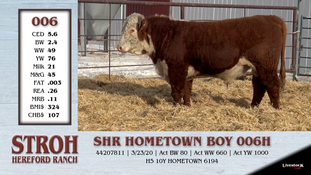 Lot #006 - SHR HOMETOWN BOY 006H