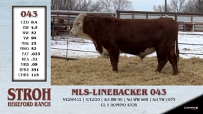 Lot #043 - MLS-LINEBACKER 043