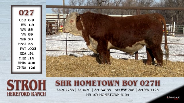 Lot #027 - SHR HOMETOWN BOY 027H