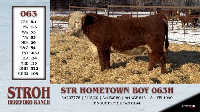 Lot #063 - STR HOMETOWN BOY 063H