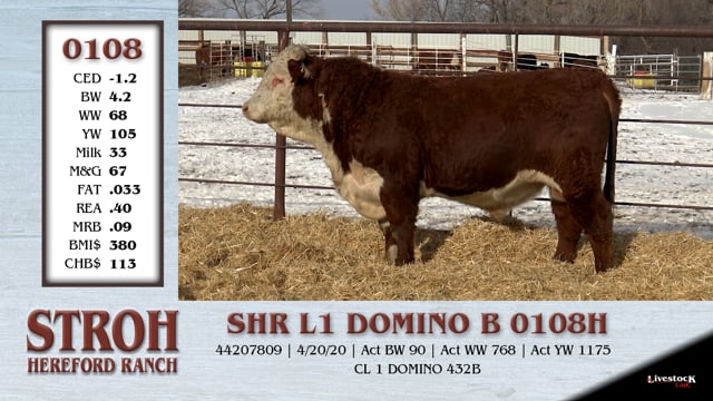 Lot #0108 - SHR L1 DOMINO B 0108H
