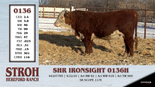 Lot #0136 - SHR IRONSIGHT 0136H