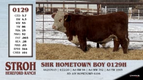 Lot #0129 - SHR HOMETOWN BOY 0129H