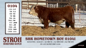 Lot #0104 - SHR HOMETOWN BOY 0104I