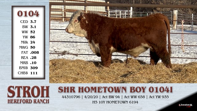 Lot #0104 - SHR HOMETOWN BOY 0104I
