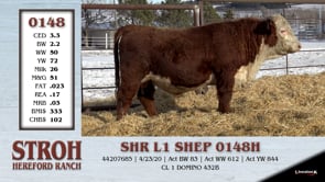 Lot #0148 - SHR L1 SHEP 0148H