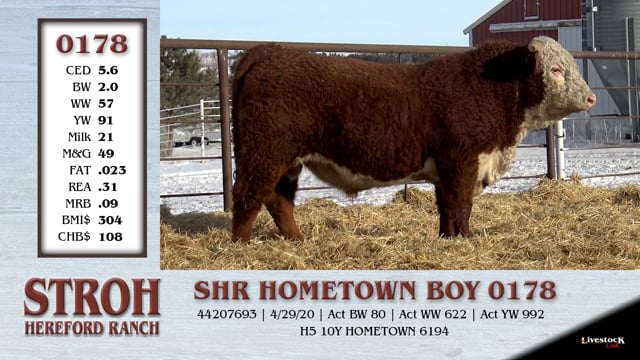Lot #0178 - SHR HOMETOWN BOY 0178