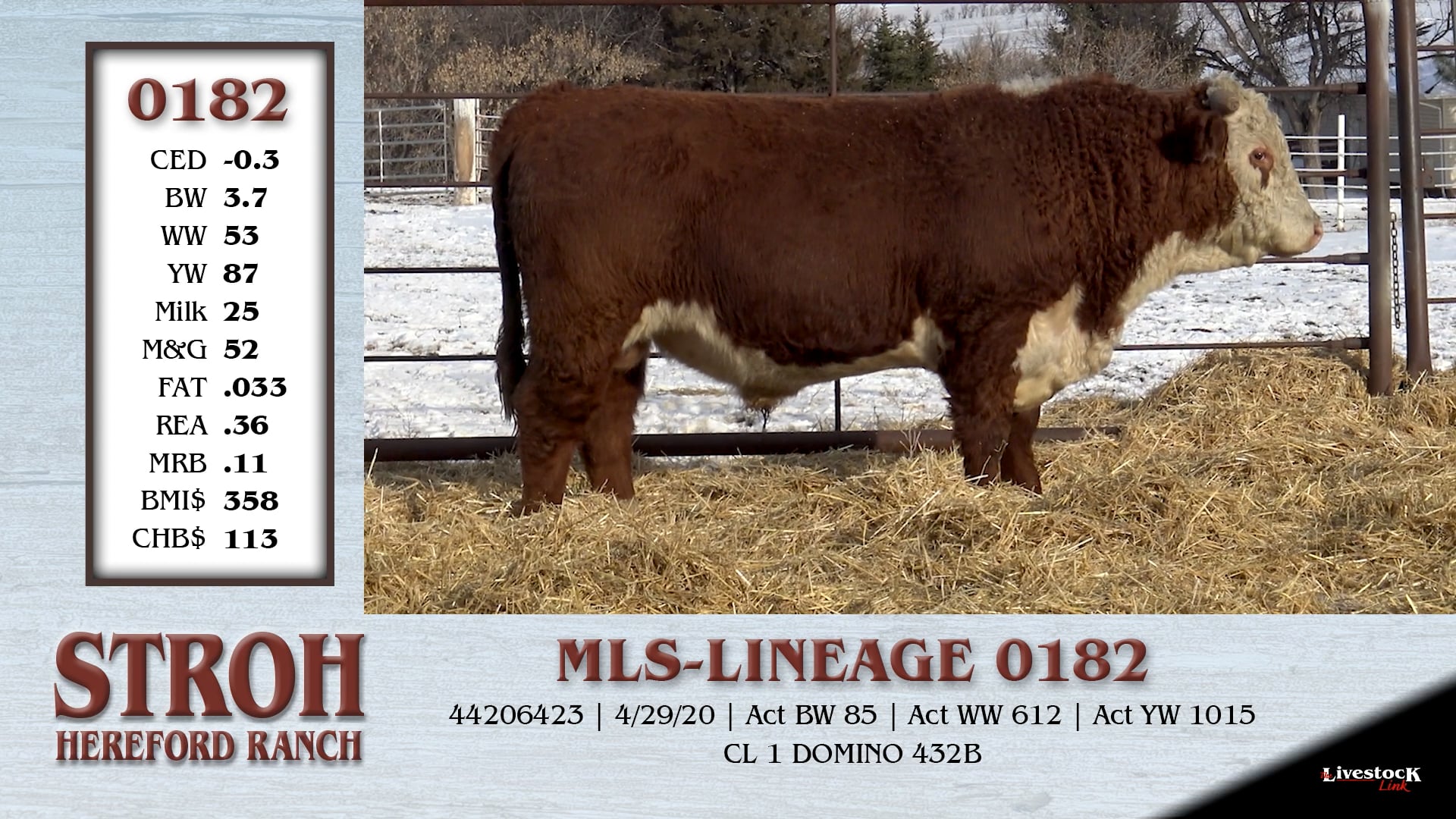 Stroh Hereford Ranch Lot 0182 on Vimeo