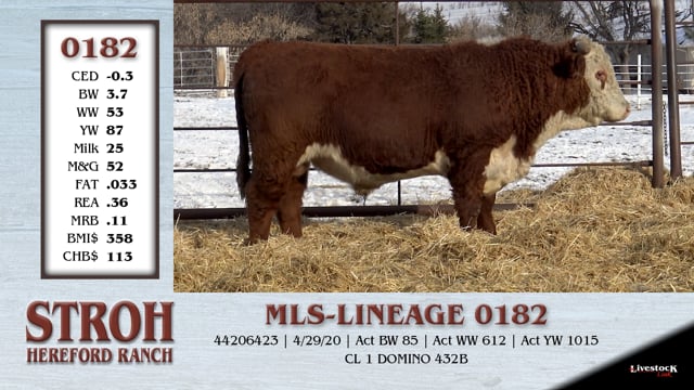 Lot #0182 - MLS-LINEAGE 0182