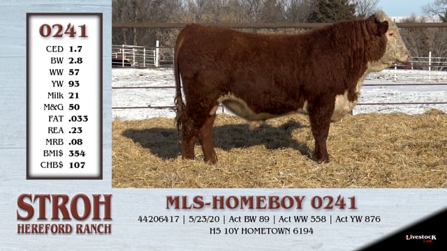 Lot #0241 - MLS-HOMEBOY 0241