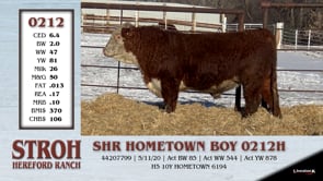 Lot #0212 - SHR HOMETOWN BOY 0212H