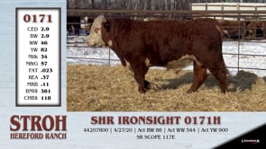 Lot #0171 - SHR IRONSIGHT 0171H
