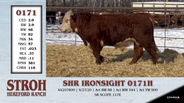 Lot #0171 - SHR IRONSIGHT 0171H