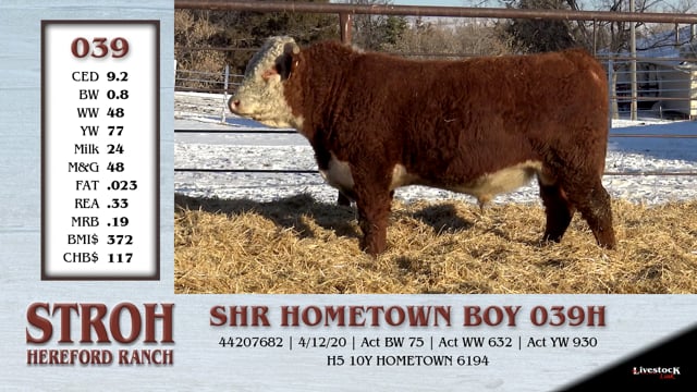 Lot #039 - SHR HOMETOWN BOY 039H