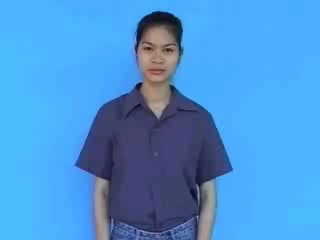lau-3396