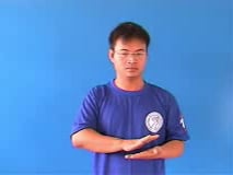 luu-113