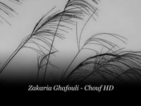 Chouf deniya Rai MUSIC VIDEO 4K UHD