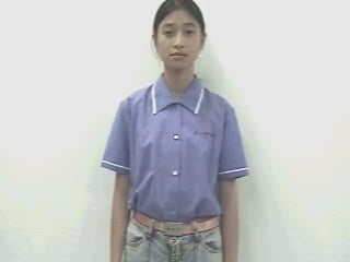 hoa-mai-1960