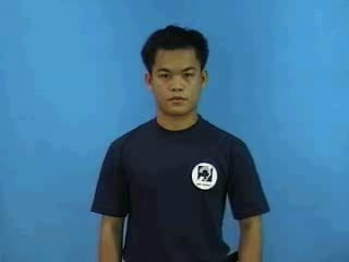 hoi-han-3980