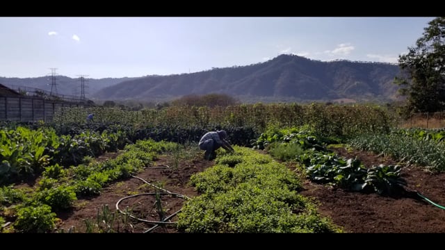 Related Embedded Video Item Thumbnail