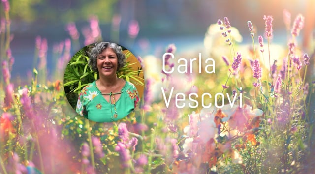 Carla Vescovi – Aromatherapy - saying YES to life
