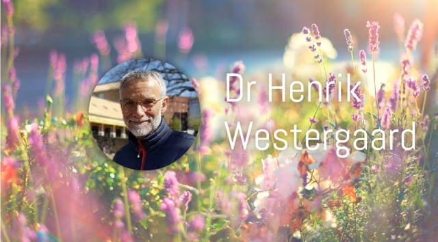 Dr Henrik Westergaard – Why do we need Ayurveda today and how do the Aroma Oils relate to Ayurveda