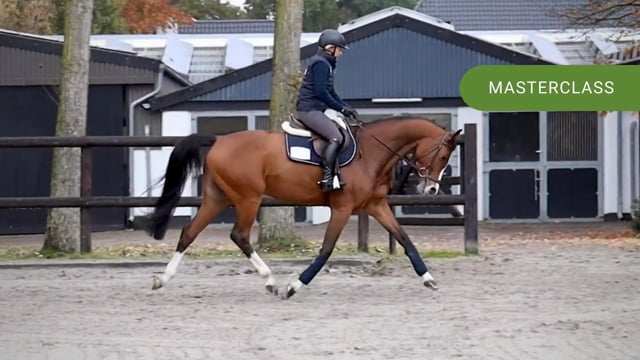 The Importance of Flatwork