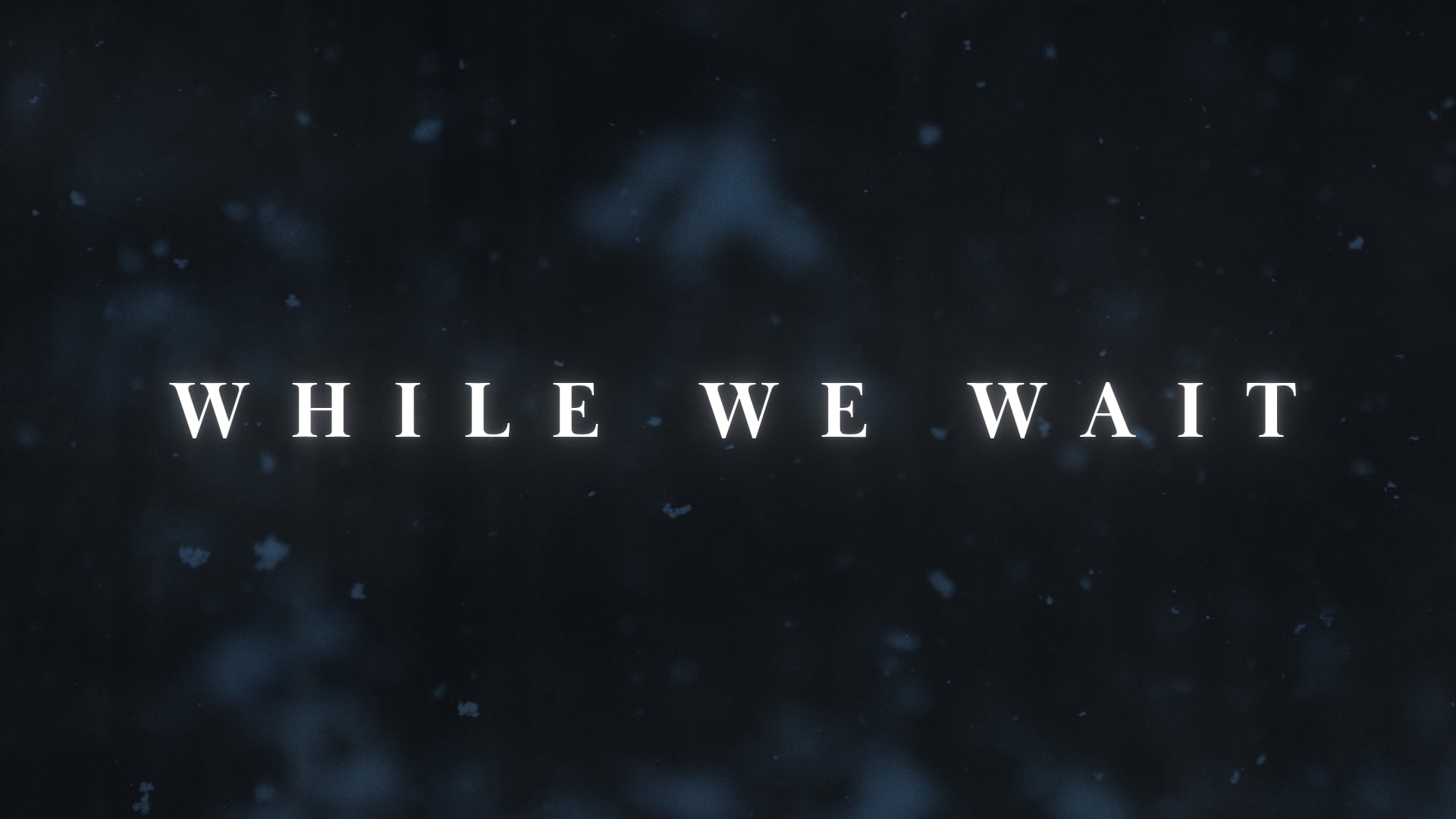 While We Wait: Watch | November  28. 2021