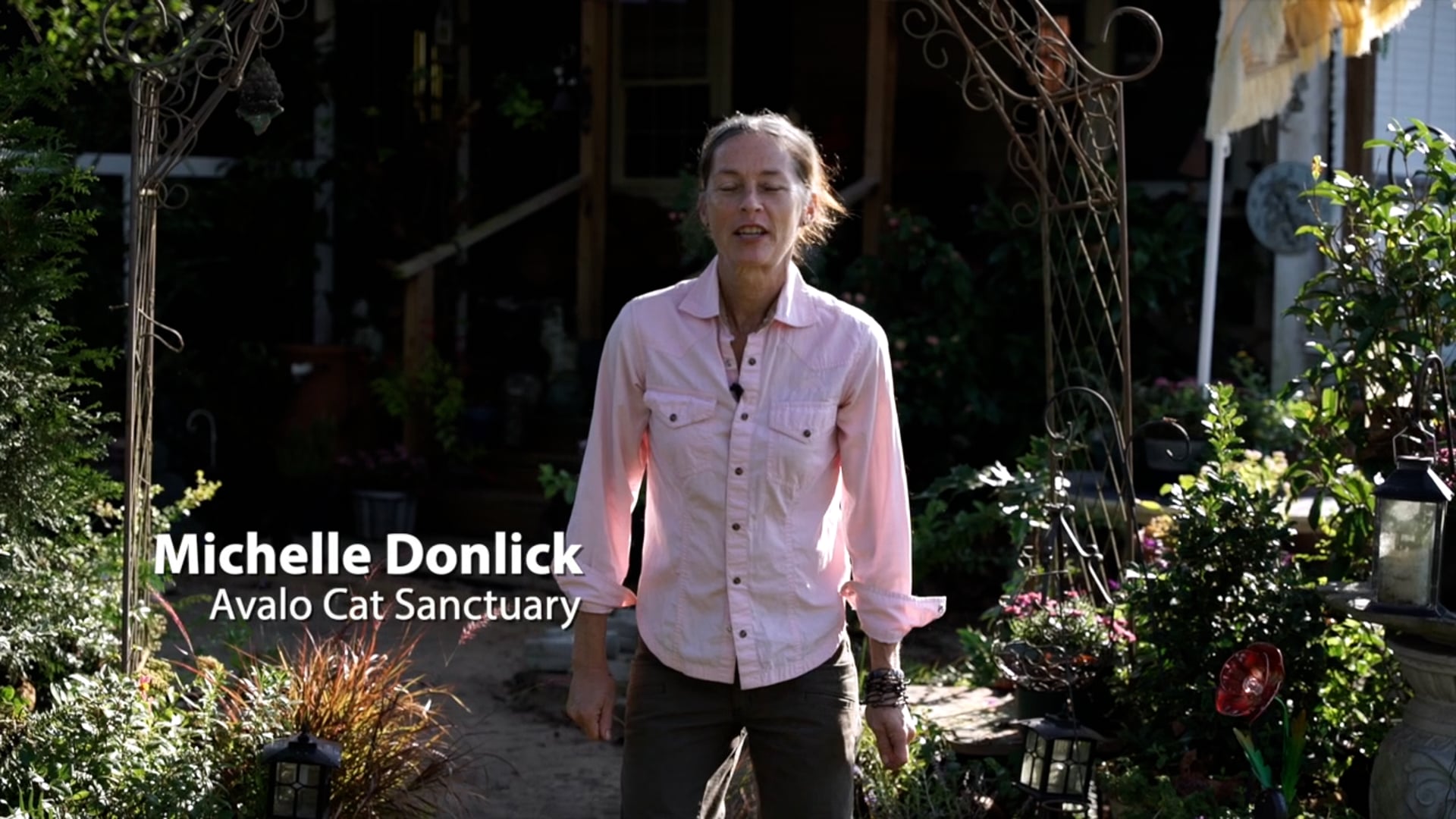 Avalo Cat Sanctury 22-01-03.m4v