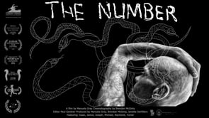 Related Embedded Video Item Thumbnail