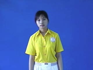 dau-vai-267