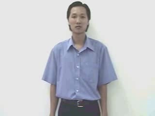day-bao-3104
