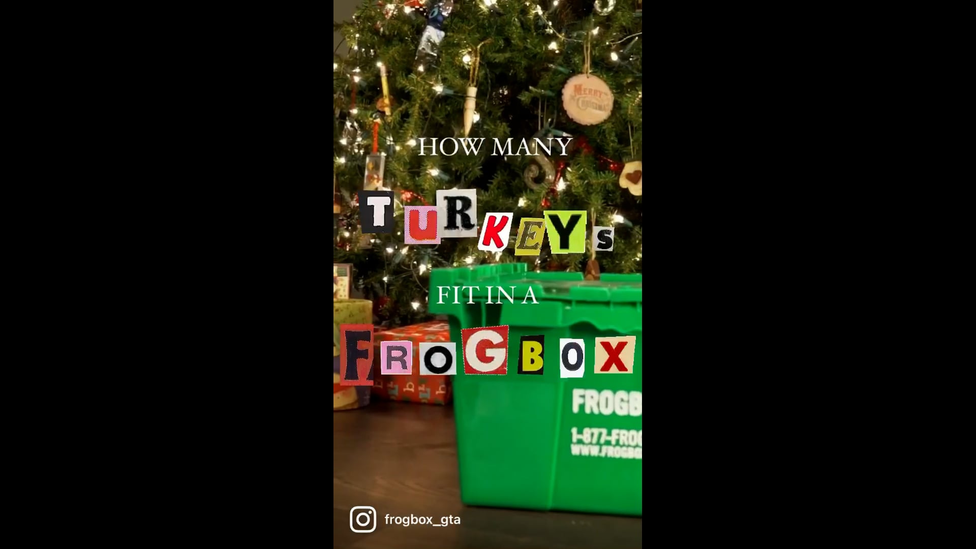 "How Many Turkeys Fit In A Frogbox" Content Creation Reel