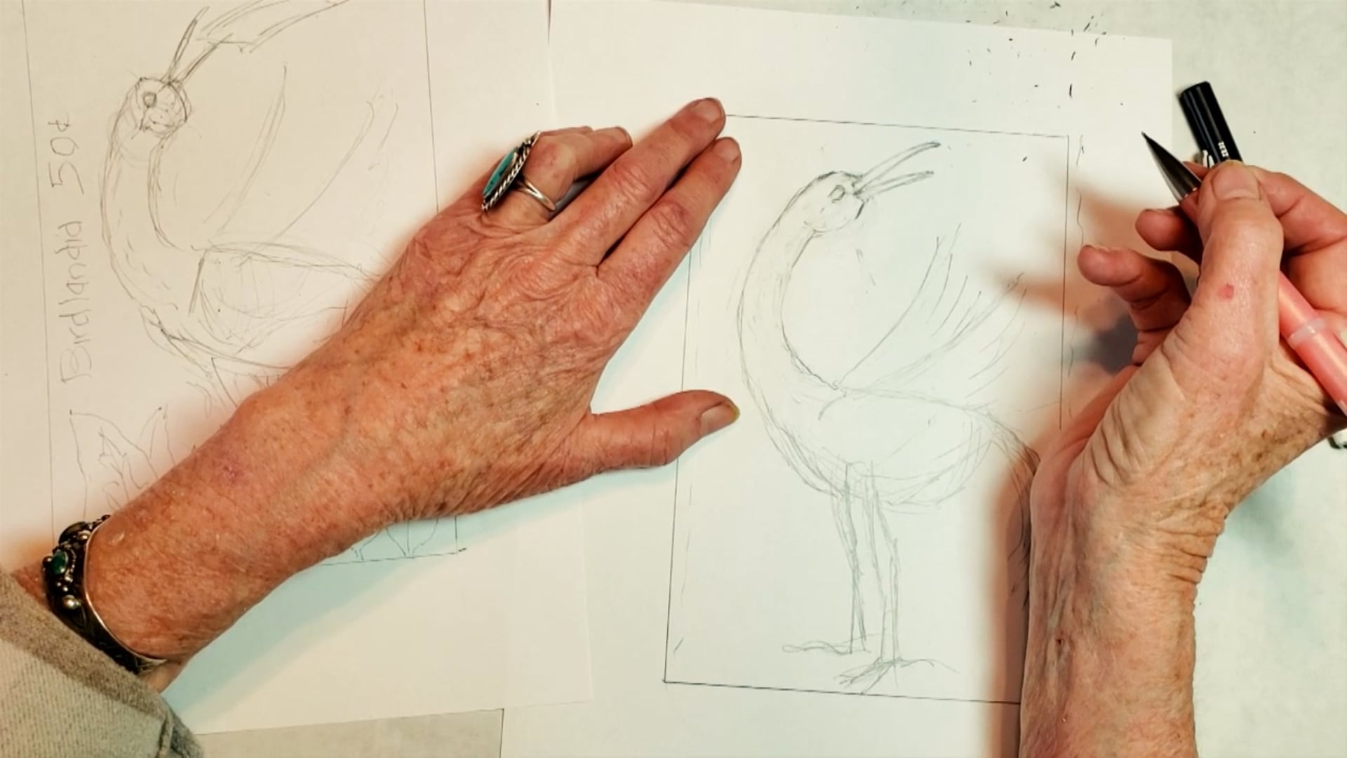 Drawing the Waterbird